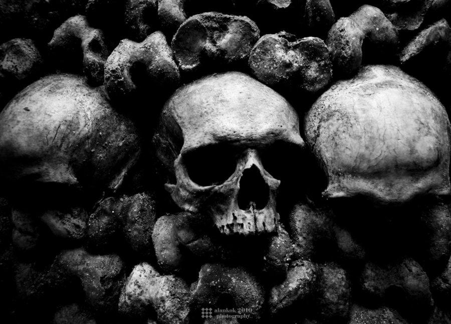 horror, skull