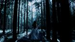 forest,animal,girl
